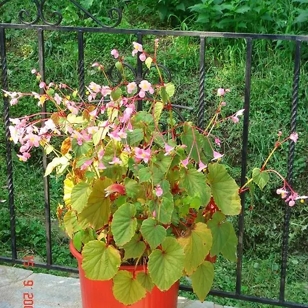 بيت للعطل Filitsa House - Fotopoulos *
